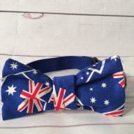 Australia Day dog or cat collar with removable bandana or bow tie